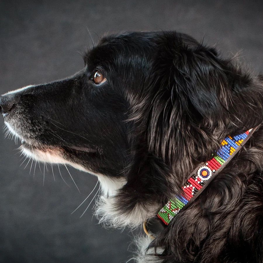 Handmade Maasai Beaded Leather Dog Collar - Image 3